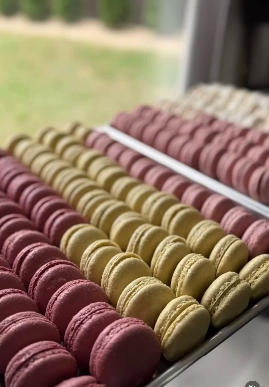 Trays of pink and green macarons