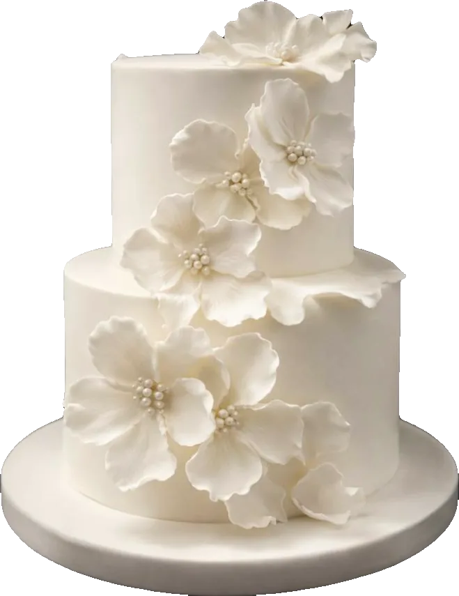 Two-tier white wedding cake with white sugar flowers